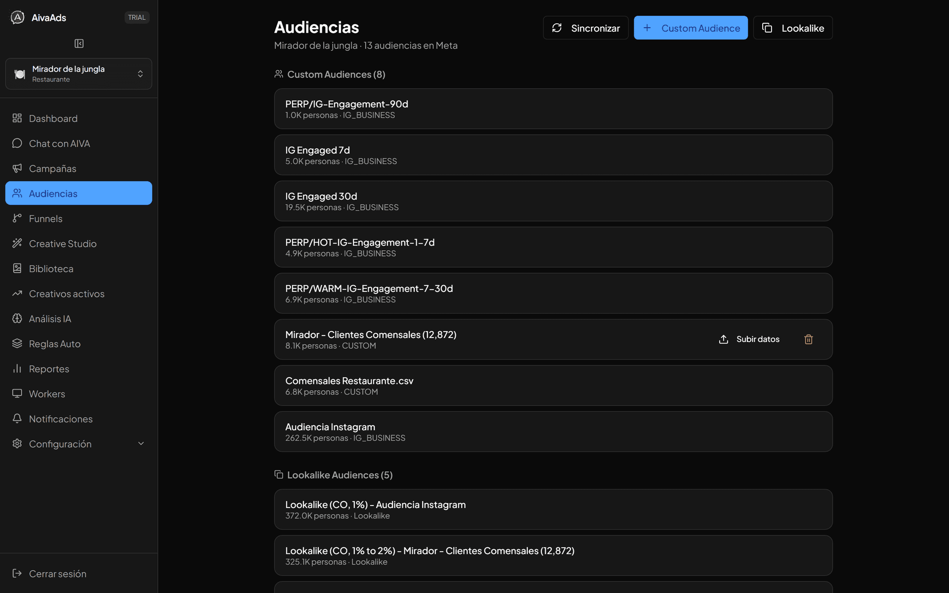 Panel de audiencias y segmentación con insights de Aiva Ads